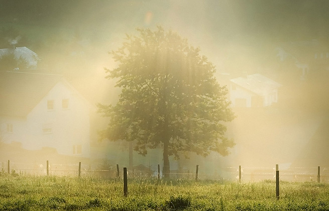 服务器攻击方式