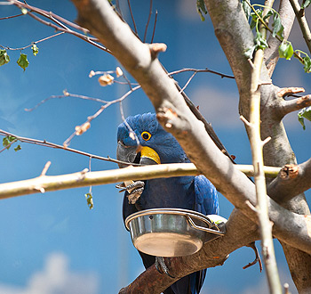 ddos流量攻击购买