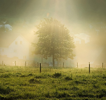 智能配置最优的网站攻击软件工具