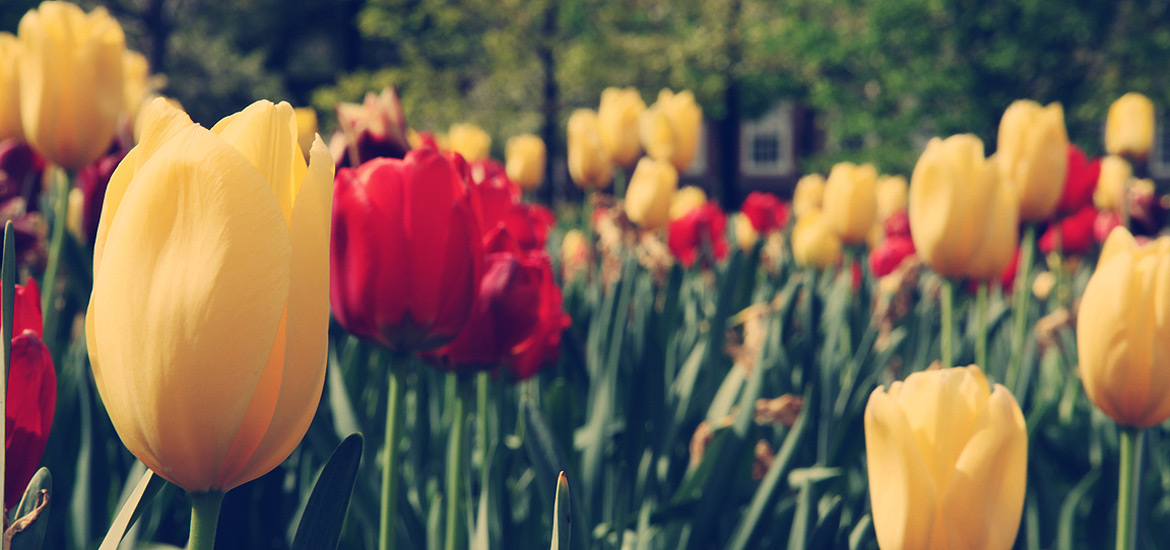 网页DDOS攻击平台